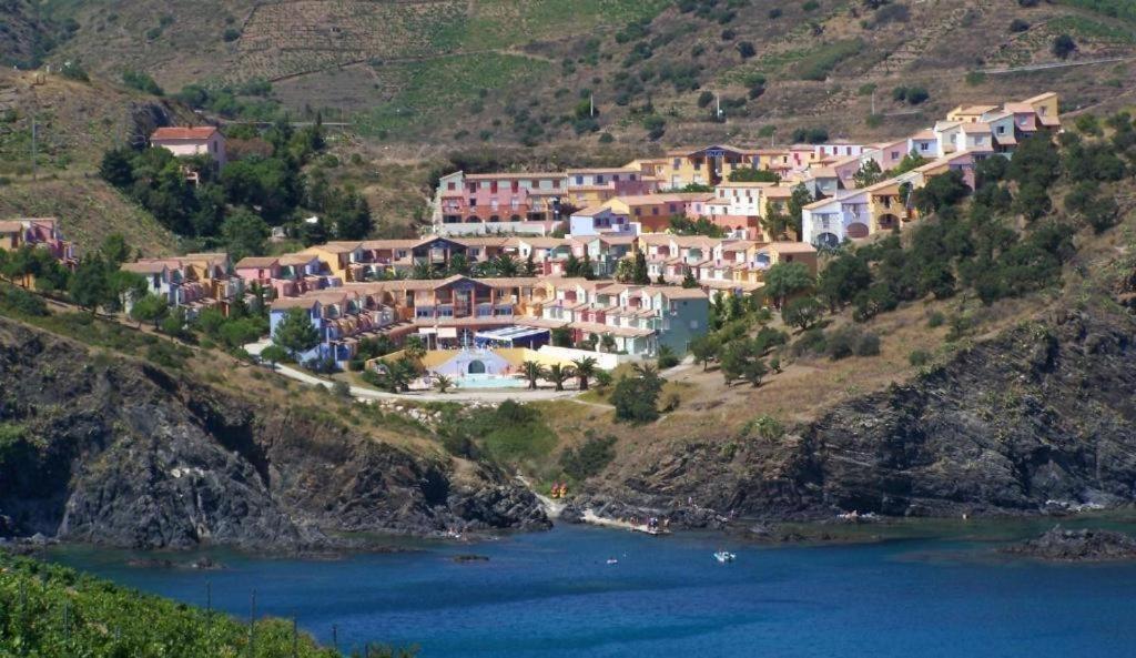 Bel Appartement Bord De Mer Cerbère Exterior foto